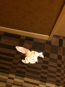 Minor Customer Experience Issues | Dirty Towels on Floor