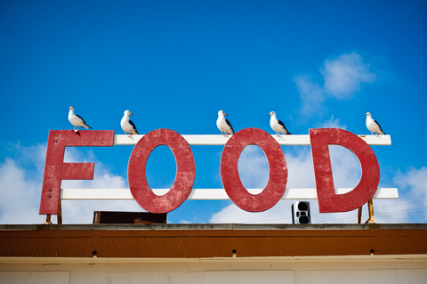 Customer Service Training: Principles Over Procedures | Food Sign with Seagulls