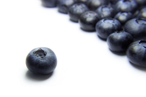 Jerks in Worplace Drain Productivity | Isolated Blueberry