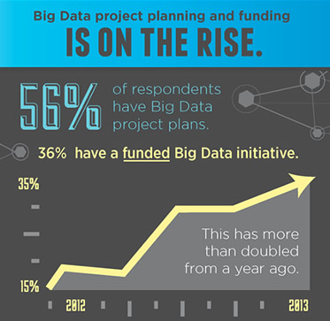 Jaspersoft Big Data Survey Infographic
