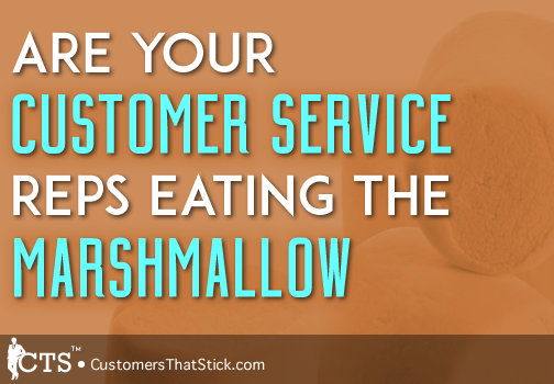 Are You Customer Service Reps Eating the Marshmallow | Picture of Marshmallow | Walter Mischel's Marshmallow Experiment