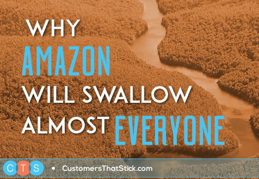 Why Amazon Will Swallow Almost Everyone